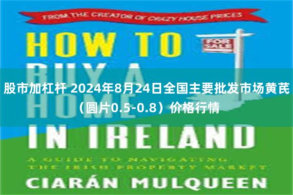 股市加杠杆 2024年8月24日全国主要批发市场黄芪（圆片0.5-0.8）价格行情