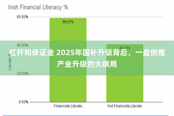 杠杆和保证金 2025年国补升级背后，一盘倒推产业升级的大棋局