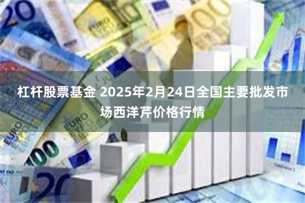 杠杆股票基金 2025年2月24日全国主要批发市场西洋芹价格行情